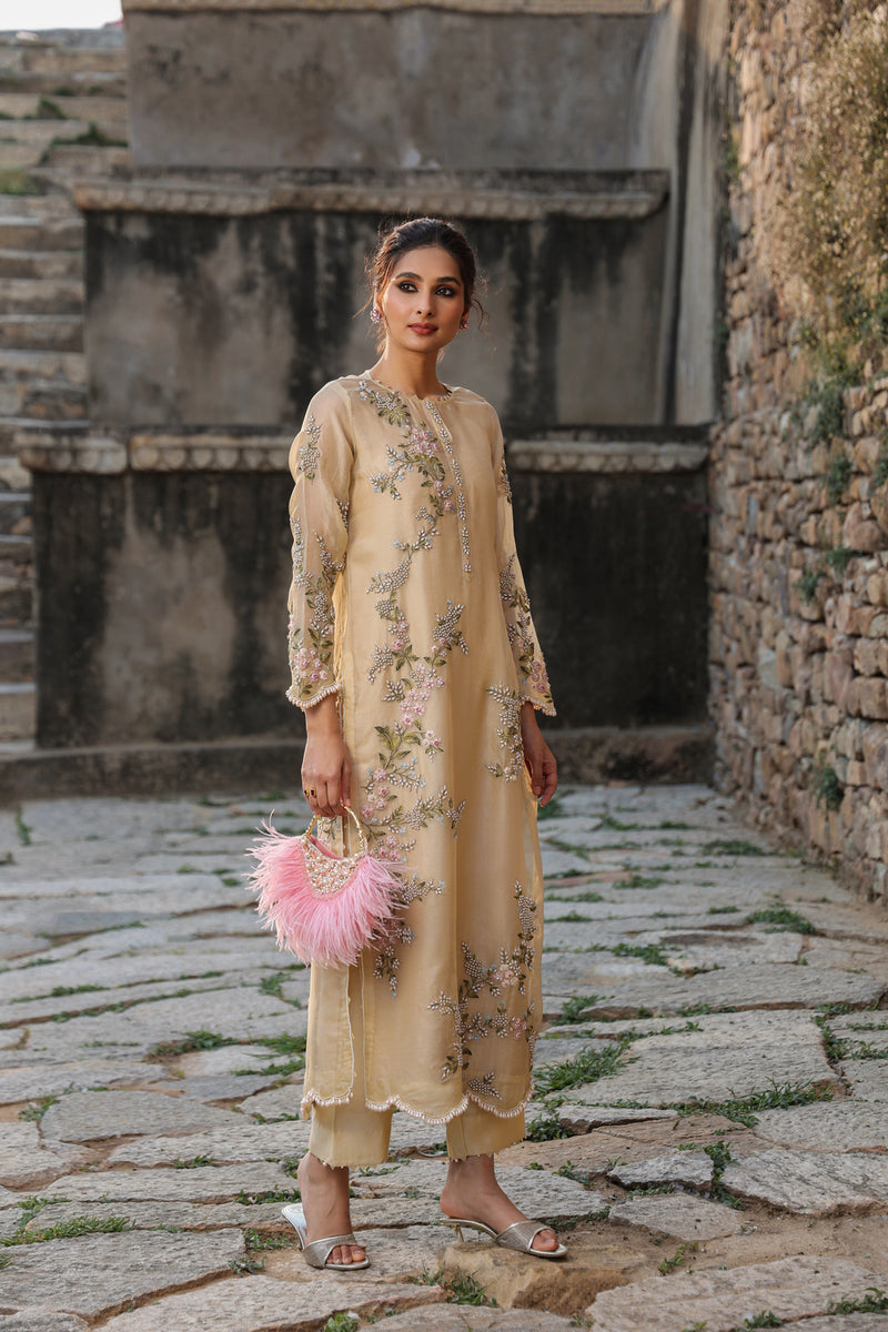 Vaayu Beige Multicolor Jaal Kurta Set organza , silk tencel kurta/kurta set by Niti Bothra in beige for women Worldwide