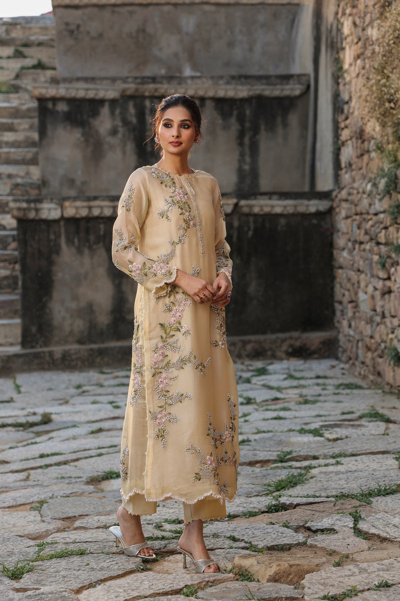 Vaayu Beige Multicolor Jaal Kurta Set organza , silk tencel kurta/kurta set by Niti Bothra in beige for women Worldwide