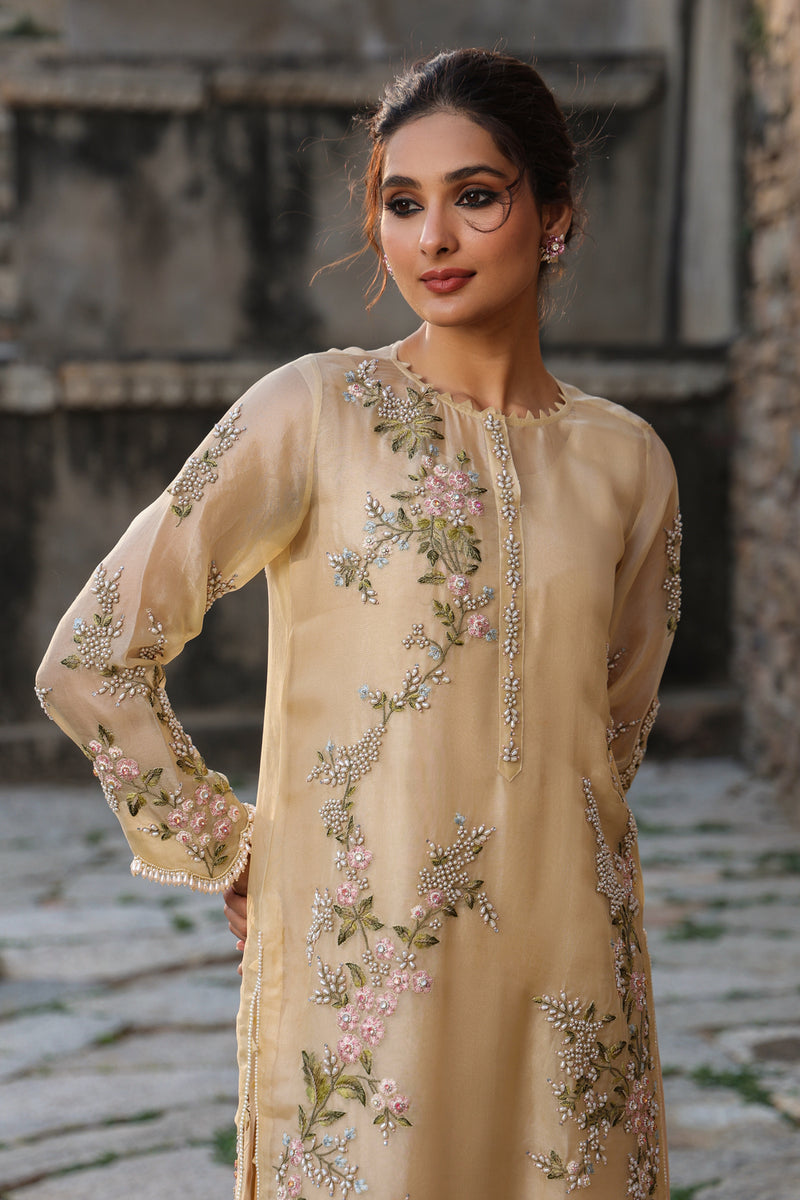 Vaayu Beige Multicolor Jaal Kurta Set organza , silk tencel kurta/kurta set by Niti Bothra in beige for women Worldwide