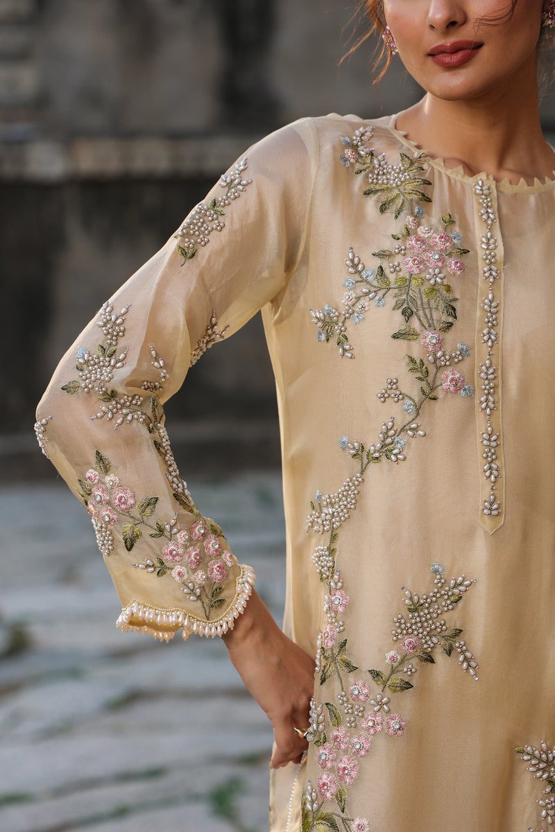 Vaayu Beige Multicolor Jaal Kurta Set organza , silk tencel kurta/kurta set by Niti Bothra in beige for women Worldwide