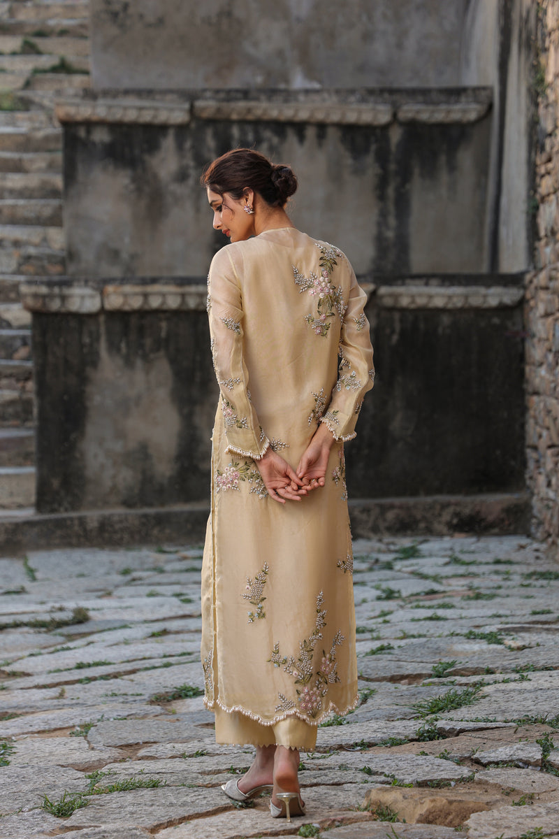 Vaayu Beige Multicolor Jaal Kurta Set organza , silk tencel kurta/kurta set by Niti Bothra in beige for women Worldwide