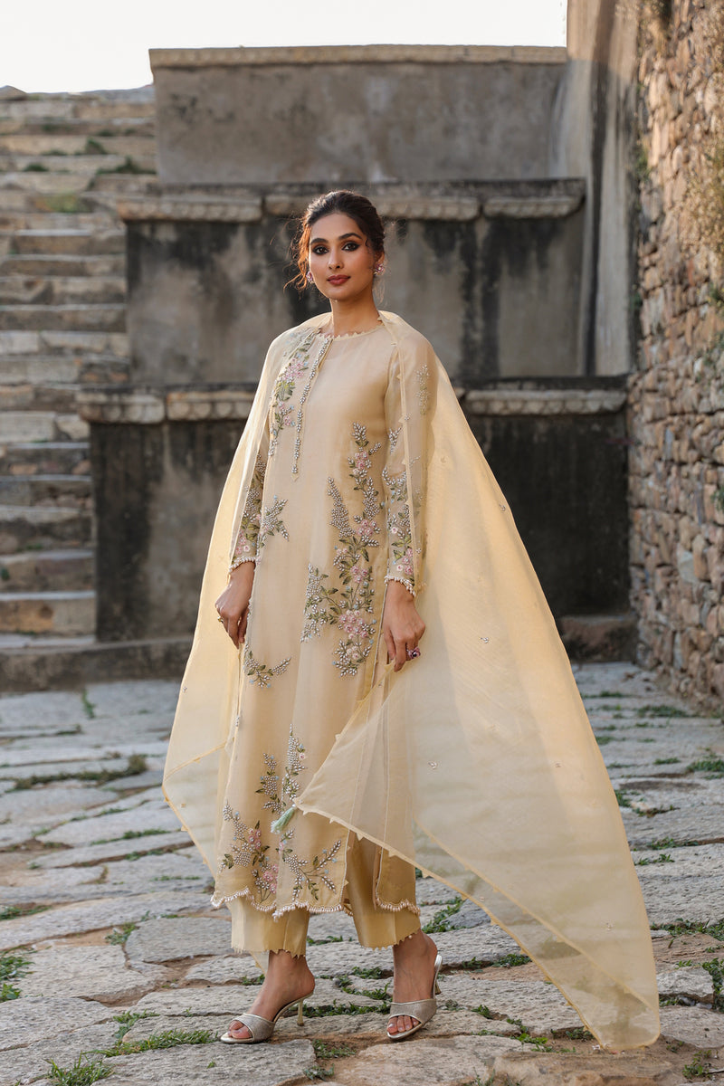 Vaayu Beige Multicolor Jaal Kurta Set organza , silk tencel kurta/kurta set by Niti Bothra in beige for women Worldwide