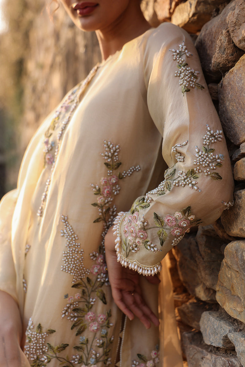 Vaayu Beige Multicolor Jaal Kurta Set organza , silk tencel kurta/kurta set by Niti Bothra in beige for women Worldwide