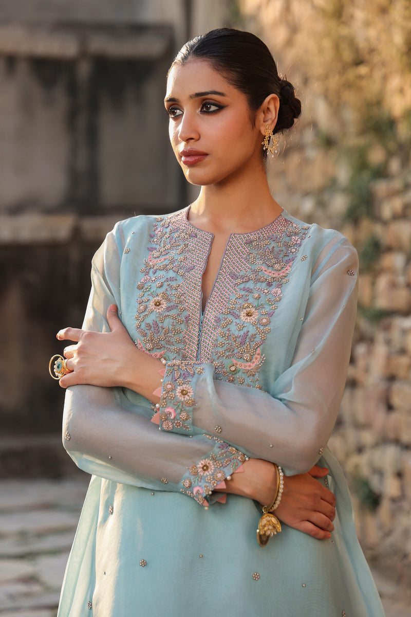 Vaayu Light Blue Heavy Neck Kurta Set organza , silk tencel kurta/kurta set by Niti Bothra in light blue for women Worldwide
