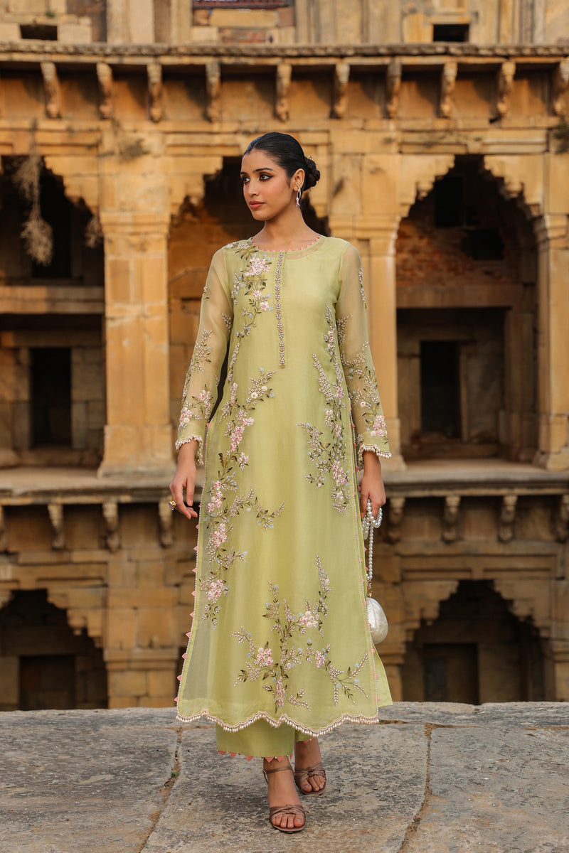 Vaayu Green Multicolor Jaal Kurta Set organza , silk tencel kurta/kurta set by Niti Bothra in green for women Worldwide