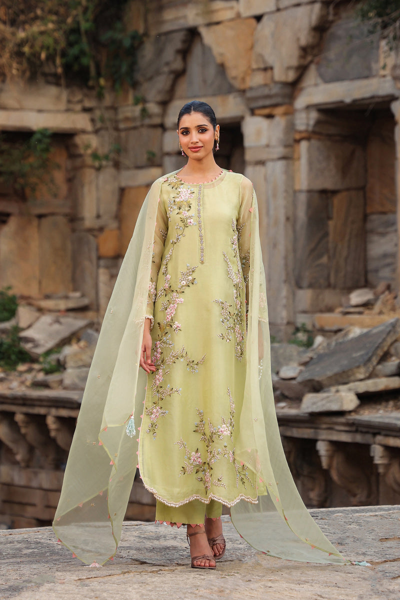 Vaayu Green Multicolor Jaal Kurta Set organza , silk tencel kurta/kurta set by Niti Bothra in green for women Worldwide