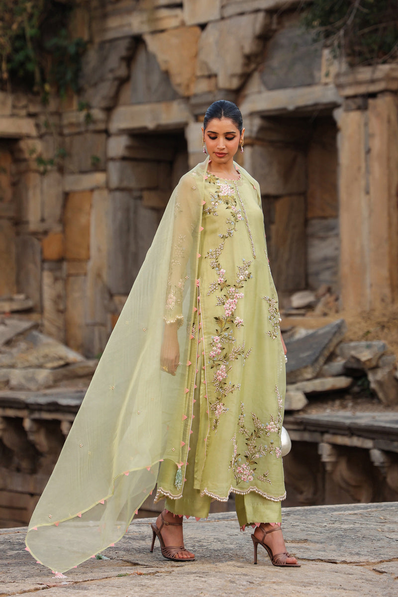 Vaayu Green Multicolor Jaal Kurta Set organza , silk tencel kurta/kurta set by Niti Bothra in green for women Worldwide