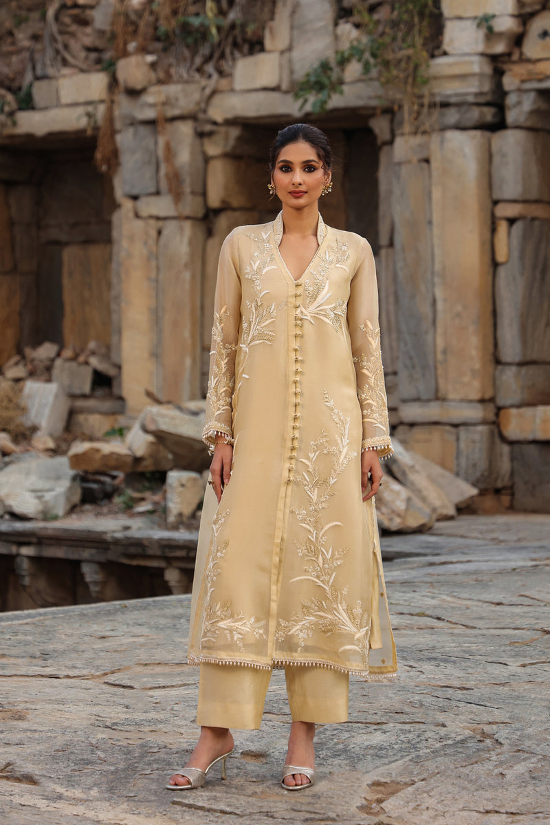 Vaayu Beige Heavy Jacket Kurta Set organza , silk tencel kurta/kurta set by Niti Bothra in beige for women Worldwide