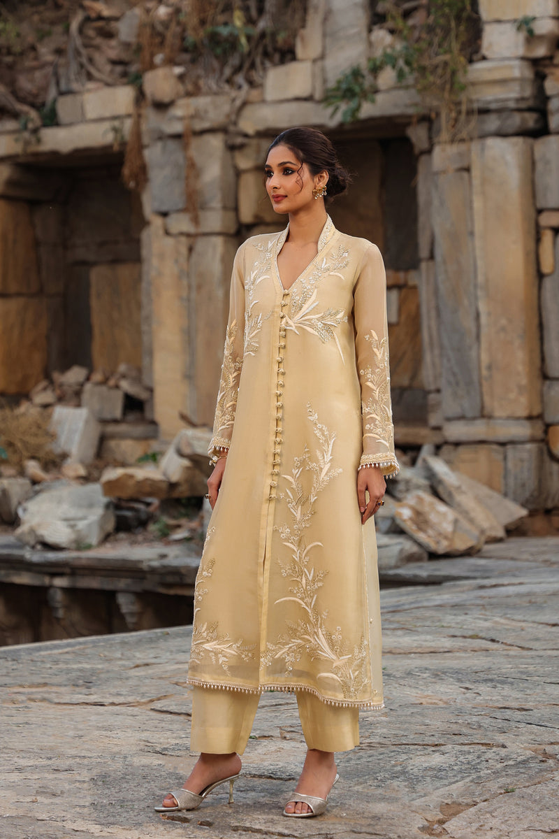 Vaayu Beige Heavy Jacket Kurta Set organza , silk tencel kurta/kurta set by Niti Bothra in beige for women Worldwide
