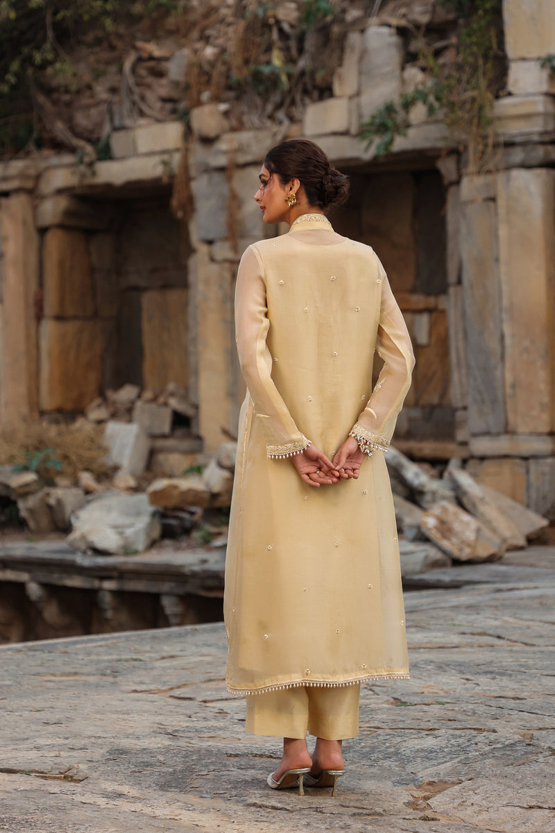 Vaayu Beige Heavy Jacket Kurta Set organza , silk tencel kurta/kurta set by Niti Bothra in beige for women Worldwide