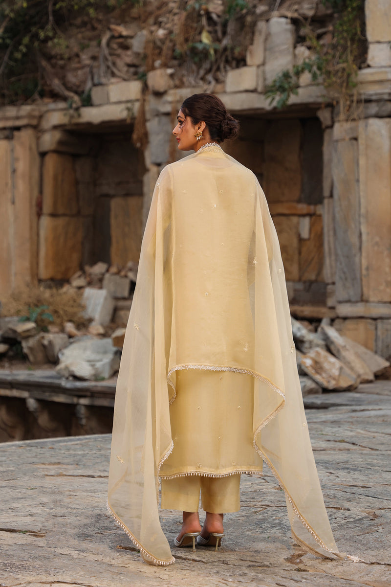 Vaayu Beige Heavy Jacket Kurta Set organza , silk tencel kurta/kurta set by Niti Bothra in beige for women Worldwide