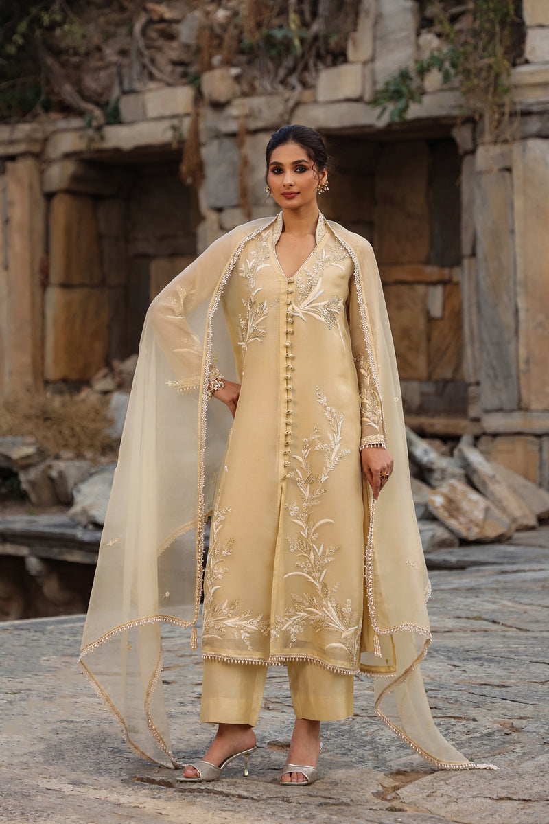 Vaayu Beige Heavy Jacket Kurta Set organza , silk tencel kurta/kurta set by Niti Bothra in beige for women Worldwide