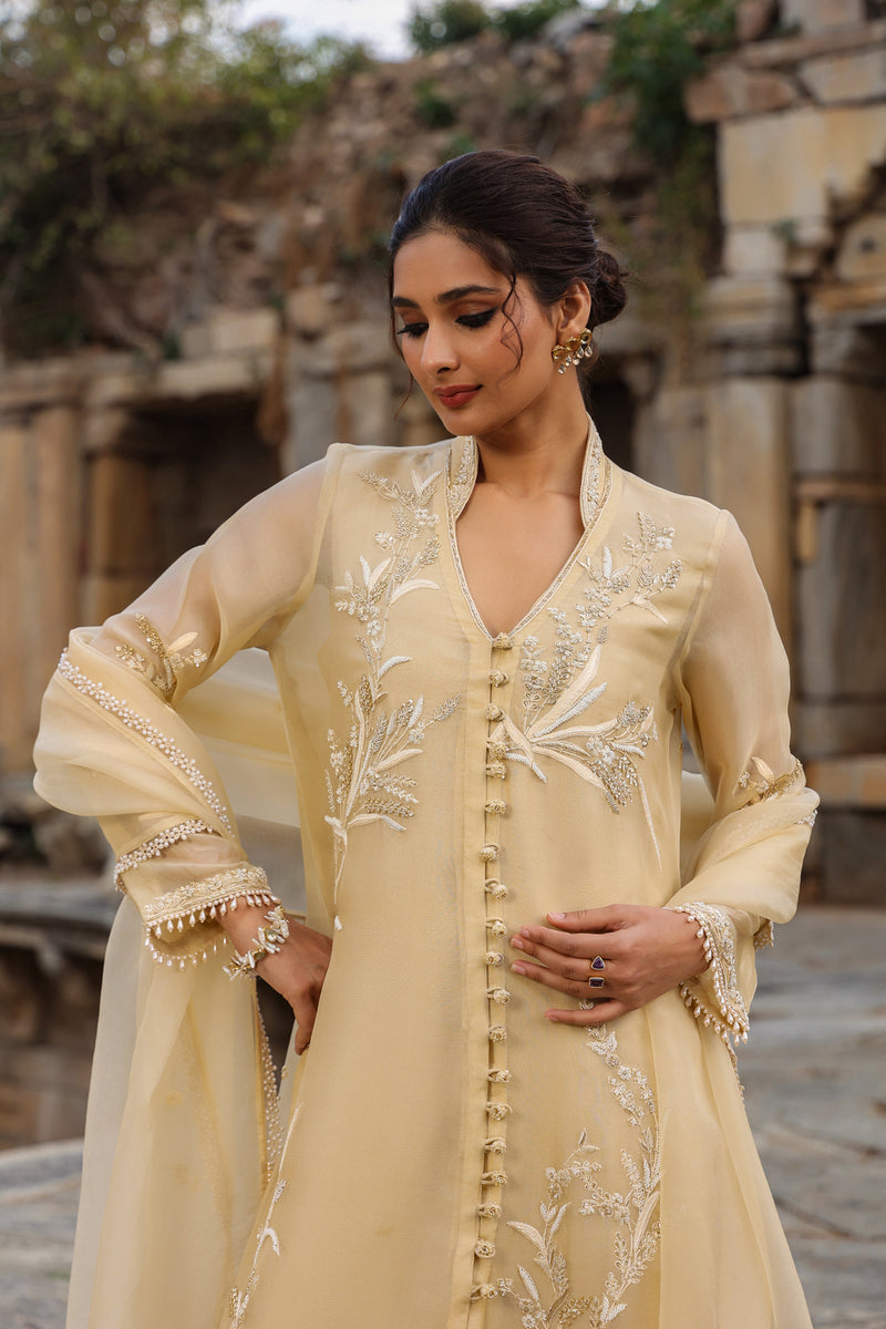 Vaayu Beige Heavy Jacket Kurta Set organza , silk tencel kurta/kurta set by Niti Bothra in beige for women Worldwide