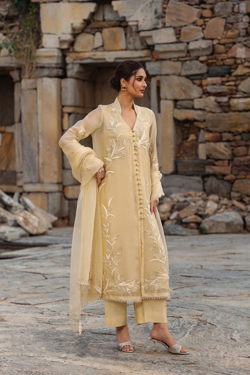 Vaayu Beige Heavy Jacket Kurta Set organza , silk tencel kurta/kurta set by Niti Bothra in beige for women Worldwide