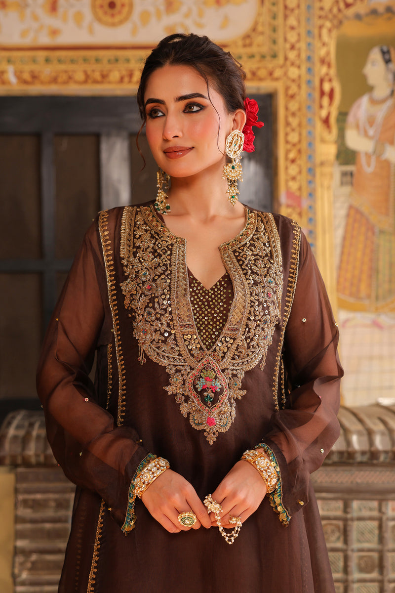 Ahista Brown Pakhi Yoke Pheran Long Kurta Set organza kurta/kurta set by Niti Bothra in brown for women Worldwide