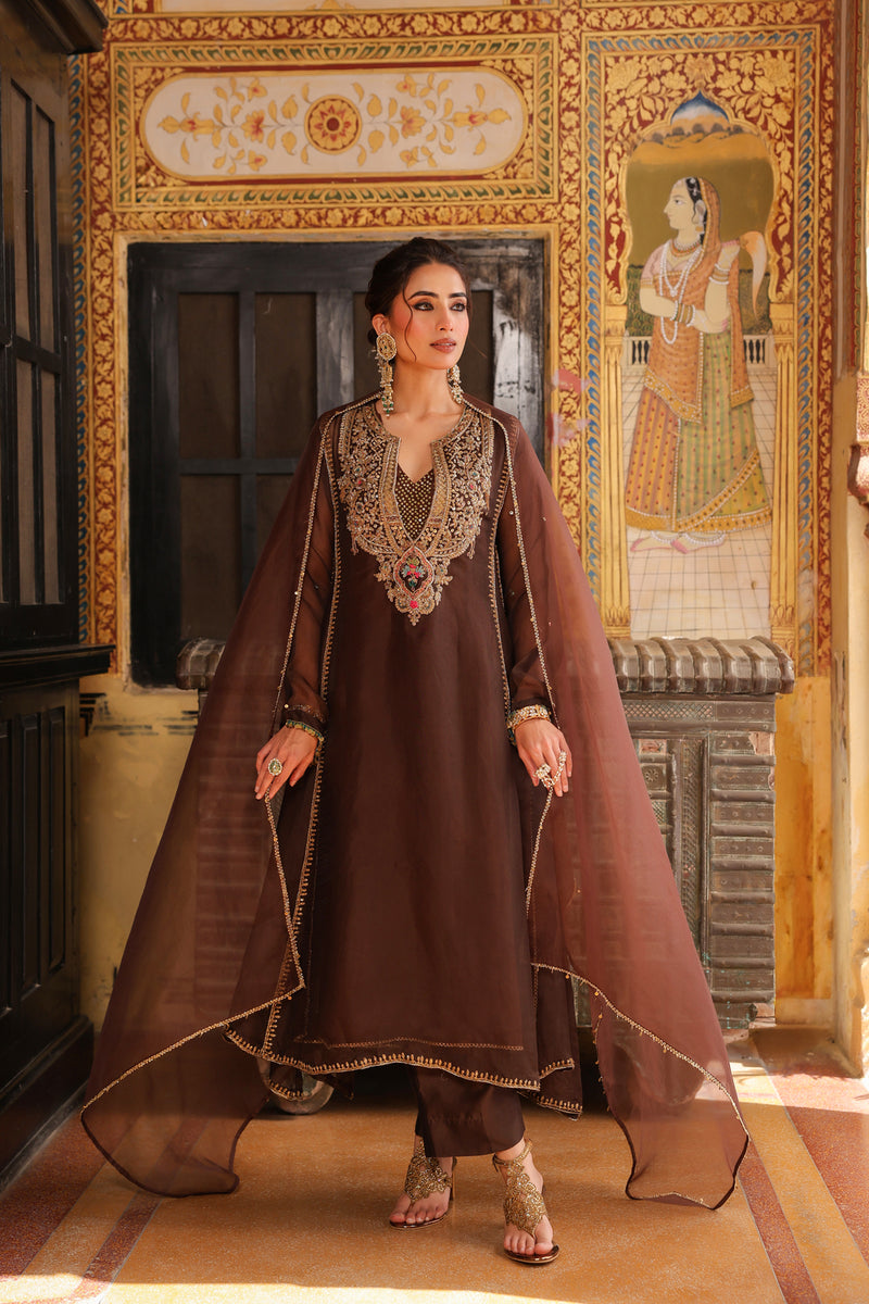 Ahista Brown Pakhi Yoke Pheran Long Kurta Set organza kurta/kurta set by Niti Bothra in brown for women Worldwide