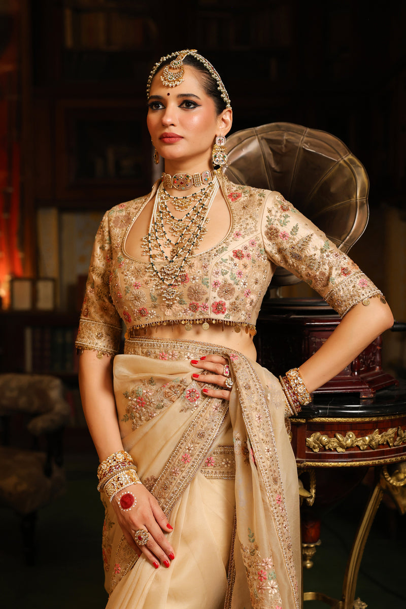 Ahista Ivory Mayur Applique Saree Set organza & chiniya silk saree by Niti Bothra in ivory for women Worldwide