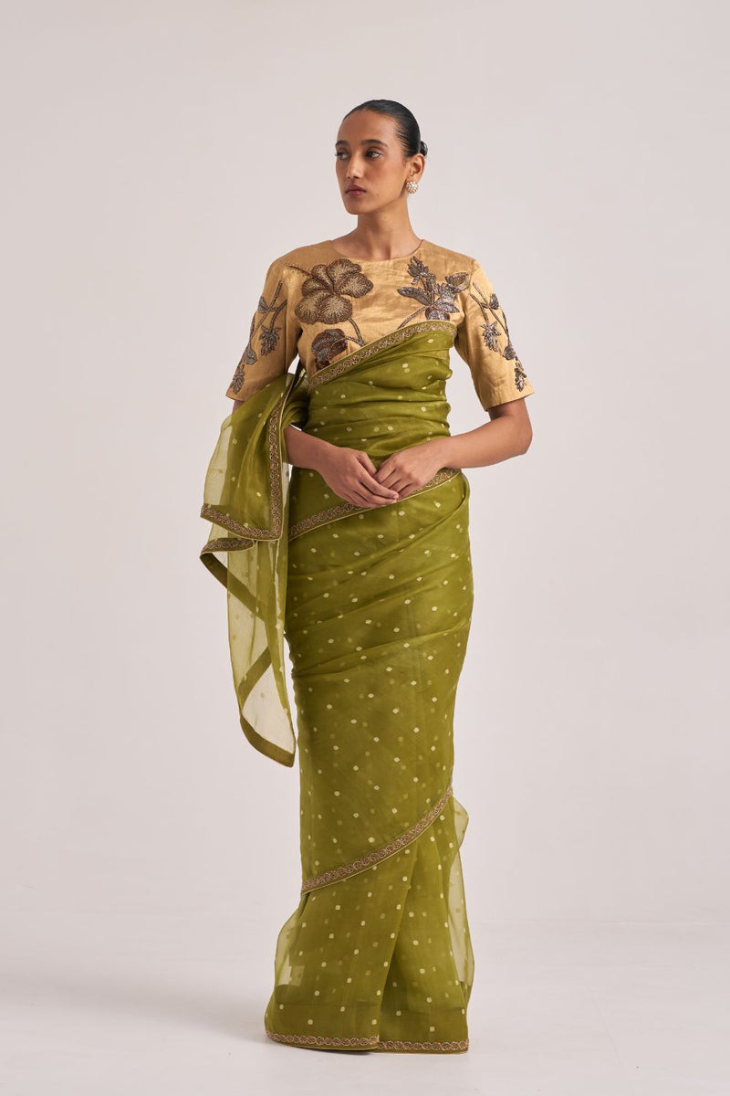 Gitali Sari Green organza by Suparna Som in green color for women Worldwide