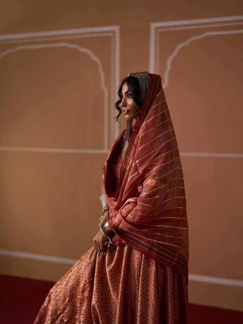 Suhana Dupatta chanderi dupatta by SWATTI KAPOOR in peach for women Worldwide