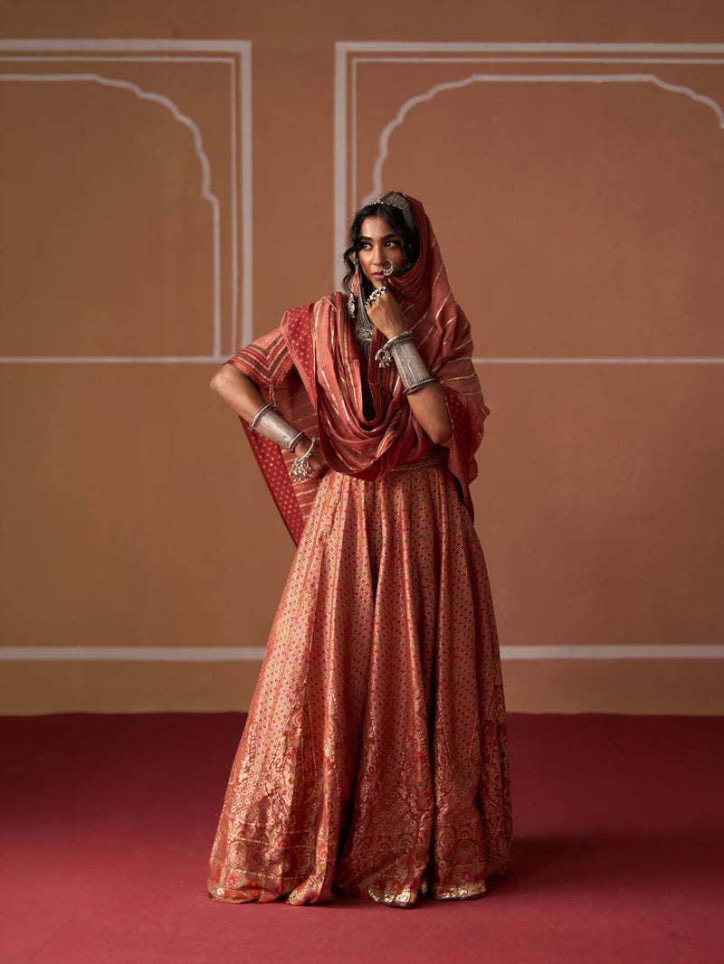 Suhana Dupatta chanderi dupatta by SWATTI KAPOOR in peach for women Worldwide