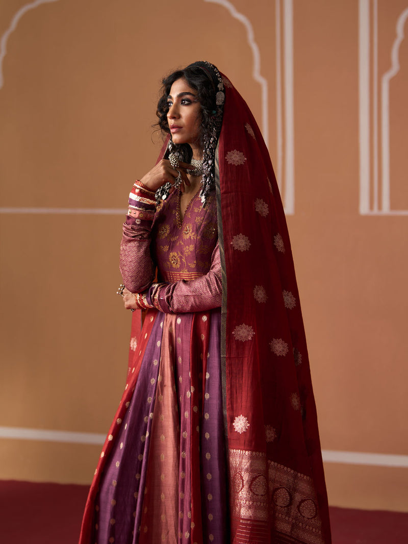 Afzi Dupatta banarasi dupatta by SWATTI KAPOOR in rust for women Worldwide
