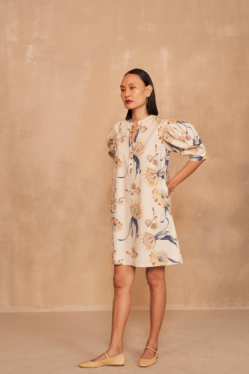 The Courage Organic Cotton Dress poplin by SUI in multi color for women Worldwide