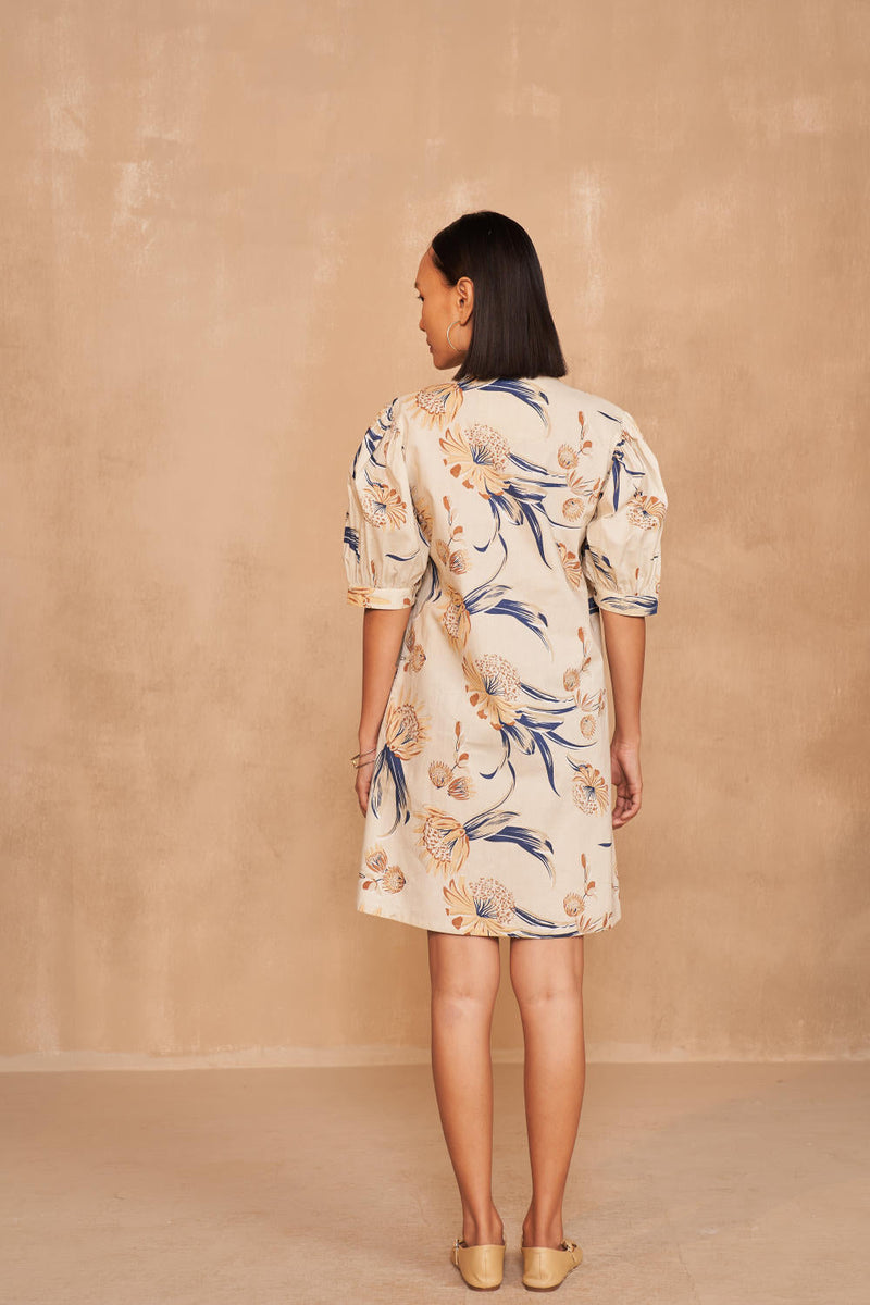 The Courage Organic Cotton Dress poplin by SUI in multi color for women Worldwide