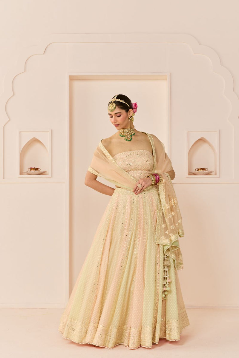 UMAIZA - CARNATION PINK LEHENGA WITH BLOUSE AND DUPATTA chanderi silk lehenga sets by SHEETAL BATRA in carnation pink and mint green for women Worldwide