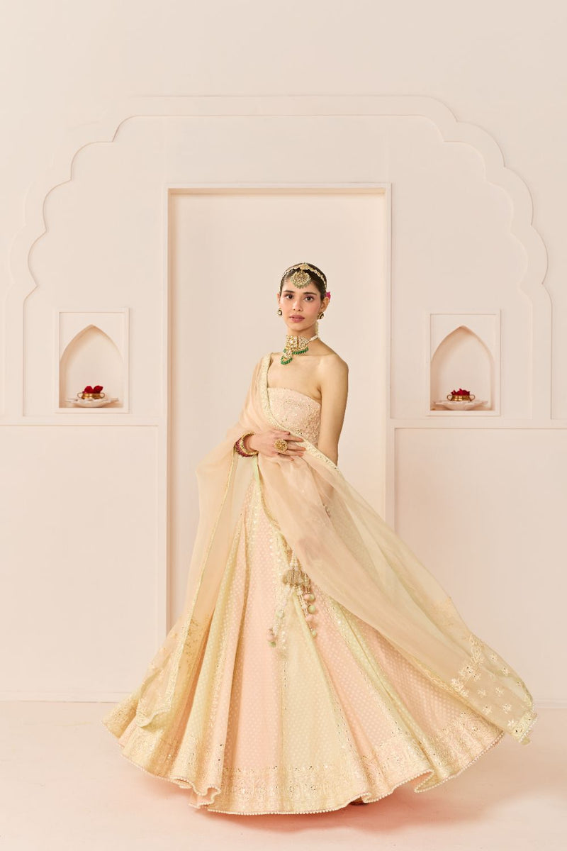 UMAIZA - CARNATION PINK LEHENGA WITH BLOUSE AND DUPATTA chanderi silk lehenga sets by SHEETAL BATRA in carnation pink and mint green for women Worldwide