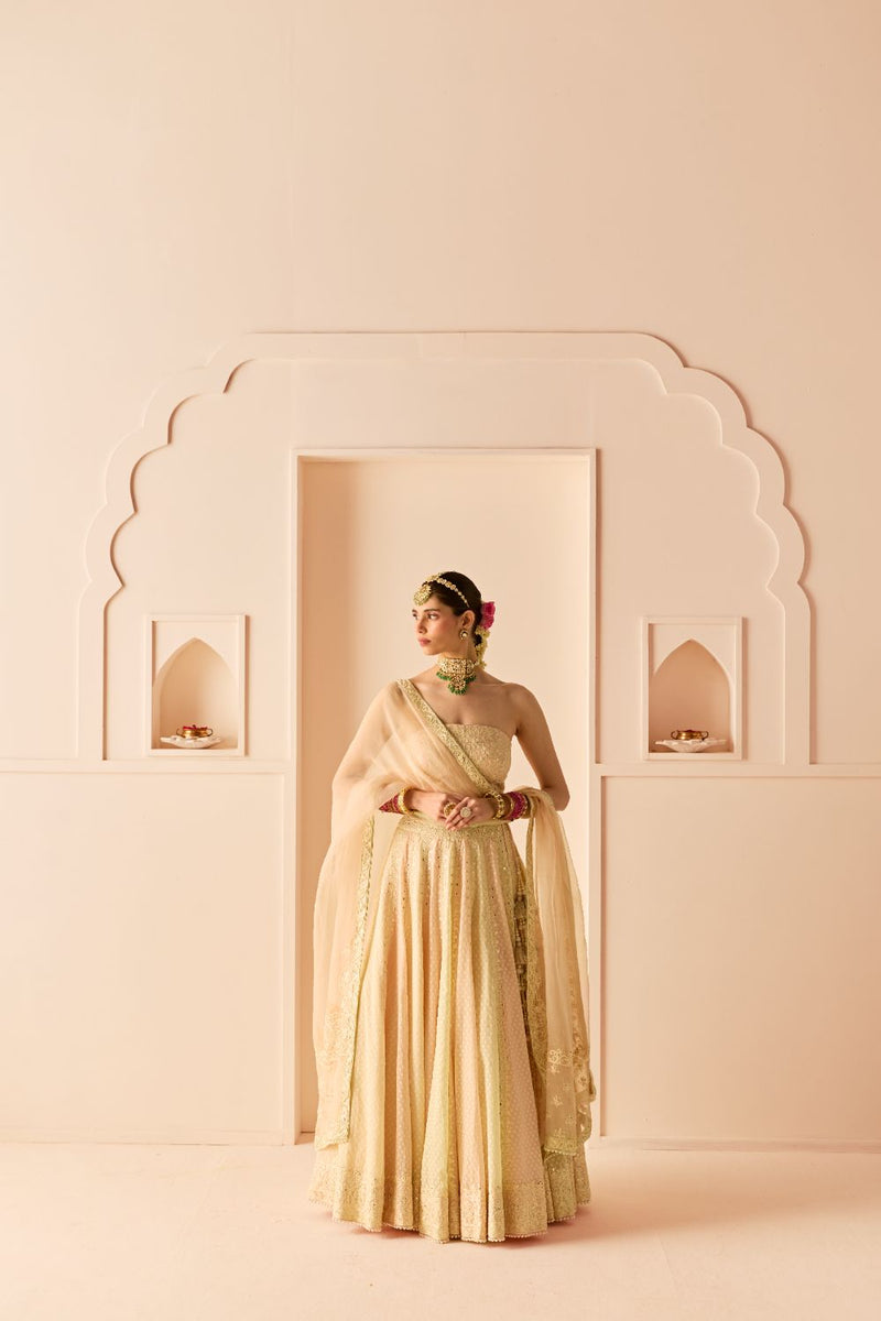 UMAIZA - CARNATION PINK LEHENGA WITH BLOUSE AND DUPATTA chanderi silk lehenga sets by SHEETAL BATRA in carnation pink and mint green for women Worldwide