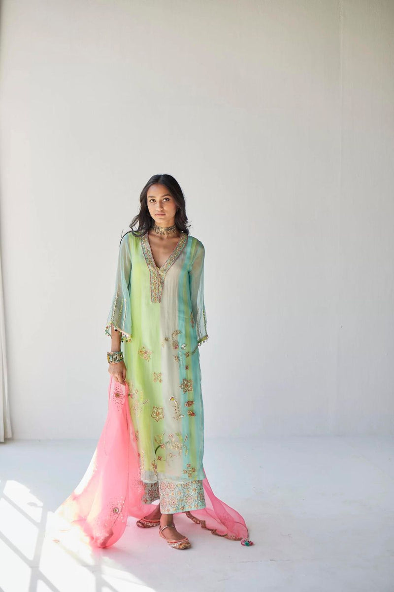 POWDER BLUE JAAL ORGANZA KURTA SET Kurta Sets by Rajiramniq for women Worldwide