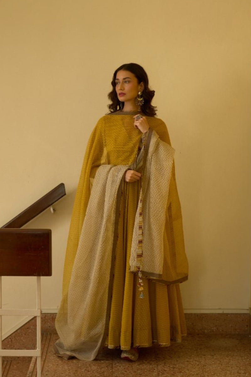 Dhara Dupatta kota cotton dupatta by SWATTI KAPOOR in yellow for women Worldwide