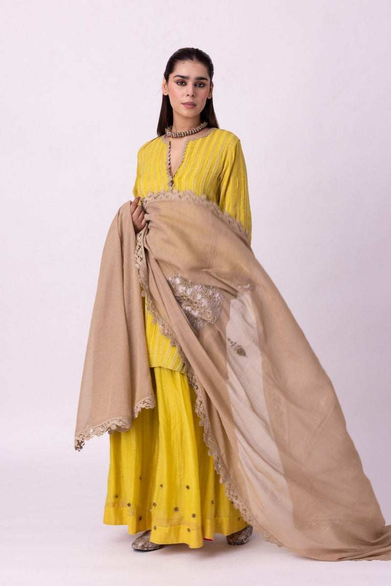 Viyana Dupatta tissue dupatta by Shades of India in grey for women Worldwide