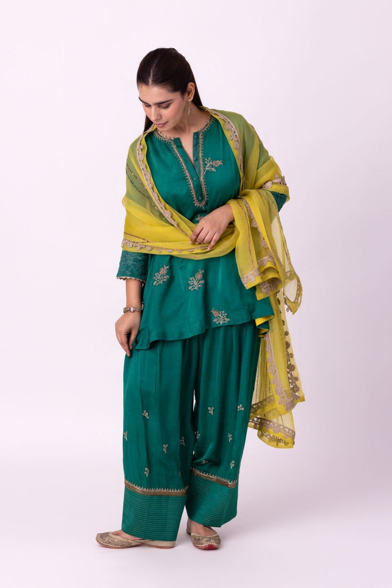 Vadha Dupatta organza dupatta by Shades of India in yellow for women Worldwide