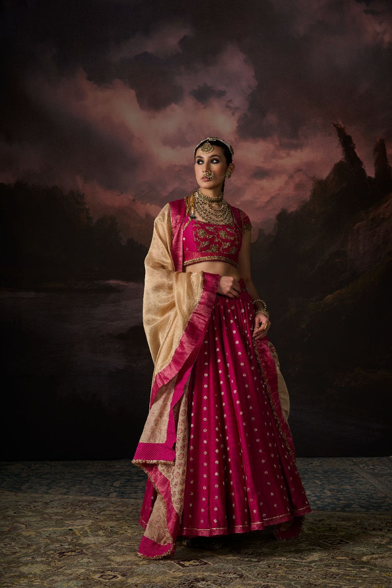 ZARA SKIRT chanderi by SWATTI KAPOOR in pink color for women Worldwide