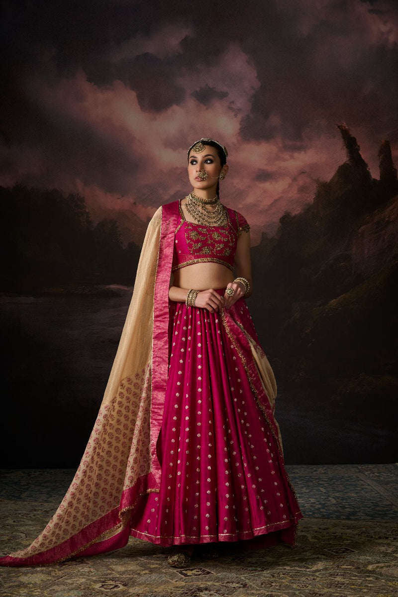 ZARA SKIRT chanderi by SWATTI KAPOOR in pink color for women Worldwide