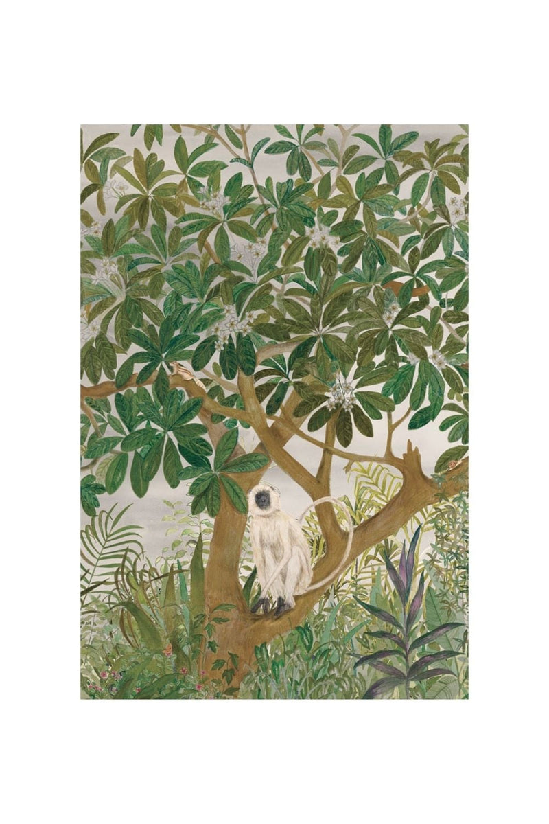 CHAMPA WITH LANGUR | ART PRINT Art Tilla 