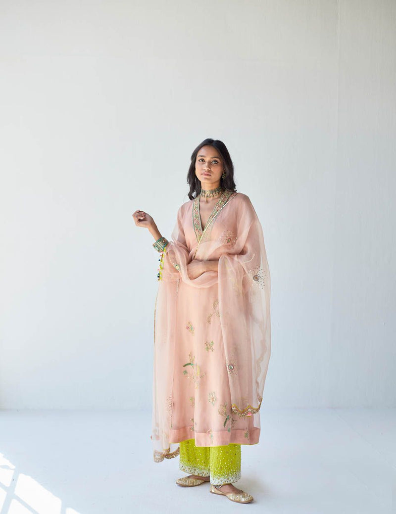 NUDE PINK JAAL ORGANZA KURTA SET Kurta Sets by Rajiramniq for women Worldwide