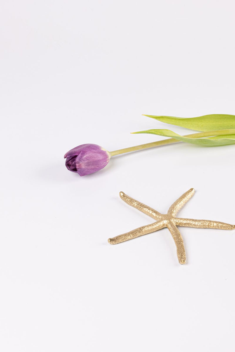 Decorative Brass Star Fish linen by Gado Living for Worldwide