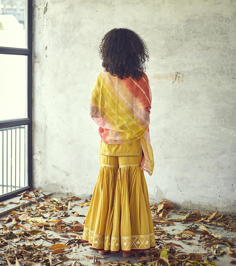 Halda Sharara Set Kurta Sets by Khara Kapas for women Worldwide