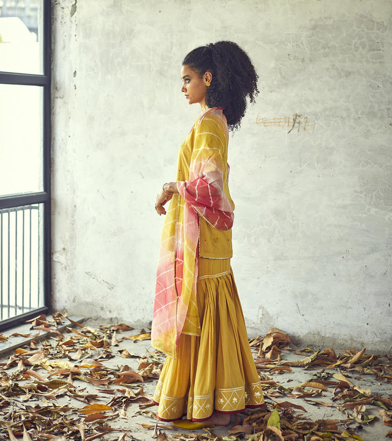 Halda Sharara Set Kurta Sets by Khara Kapas for women Worldwide
