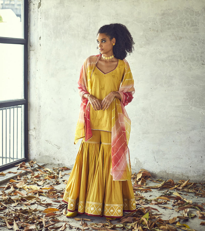 Halda Sharara Set Kurta Sets by Khara Kapas for women Worldwide