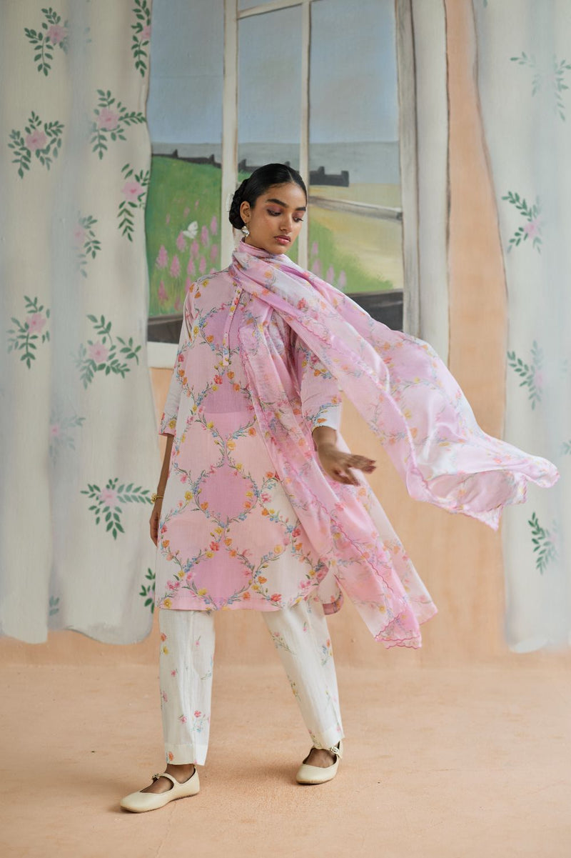 Drift and Dream Dupatta Kota Doria Silk silk by Nadiya Paar in pink color for women Worldwide