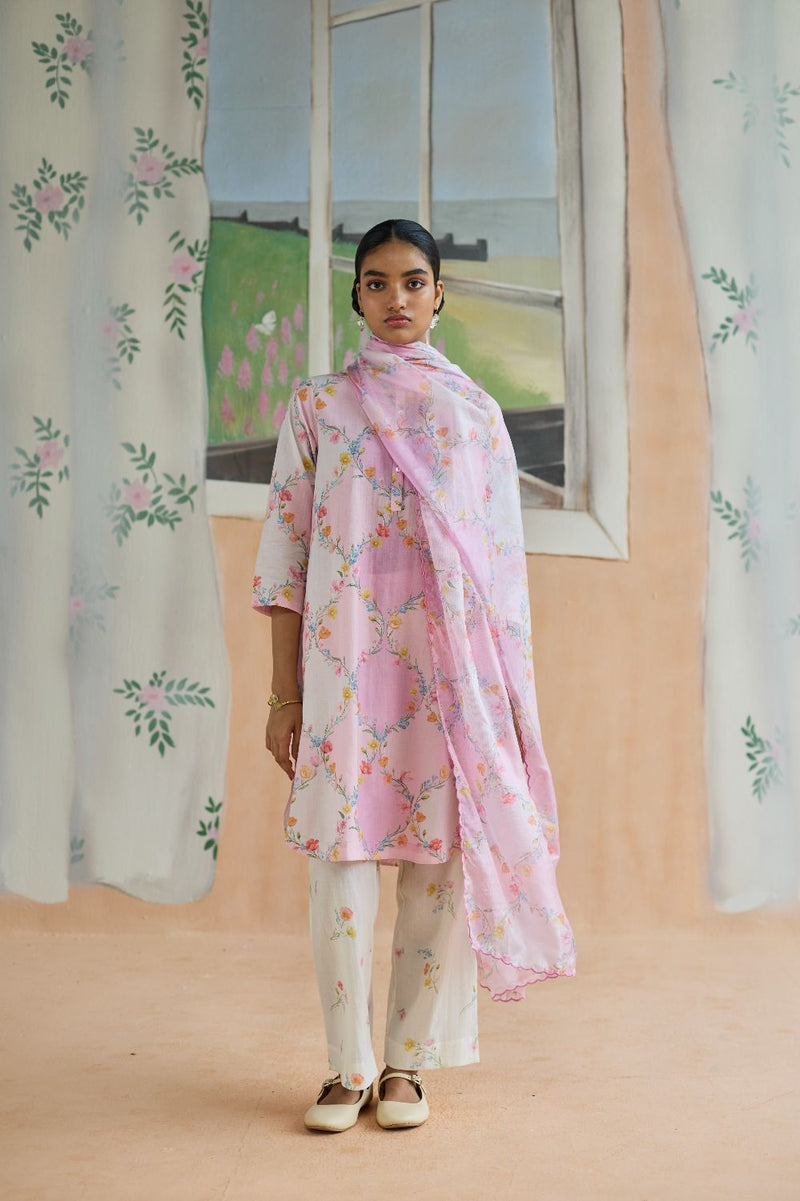 Drift and Dream Dupatta Kota Doria Silk silk by Nadiya Paar in pink color for women Worldwide