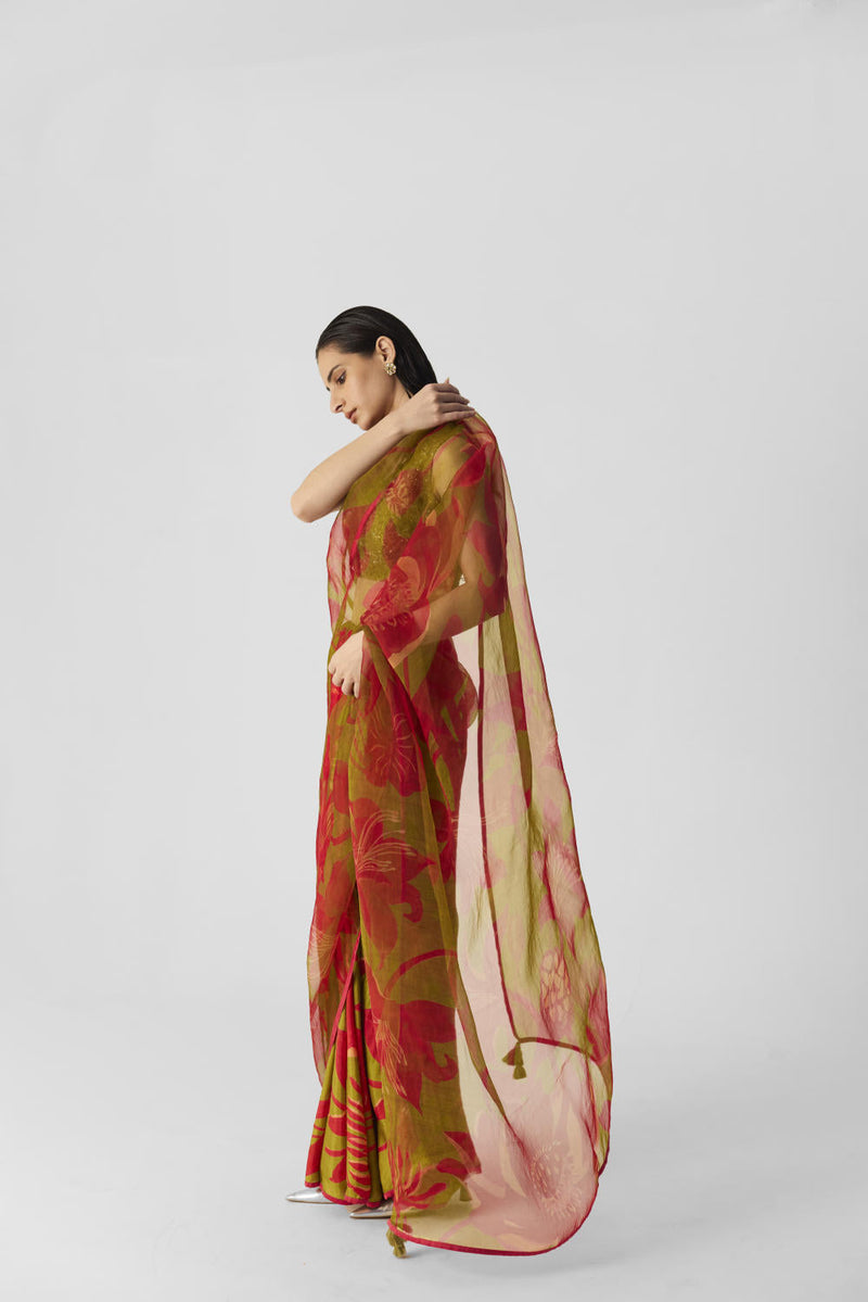 LIAN LIME SAREE organza by Yam in multi color for women Worldwide