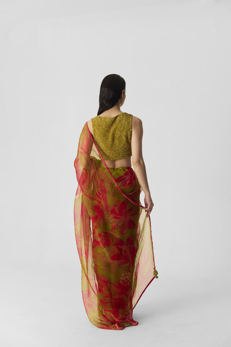LIAN LIME SAREE organza by Yam in multi color for women Worldwide