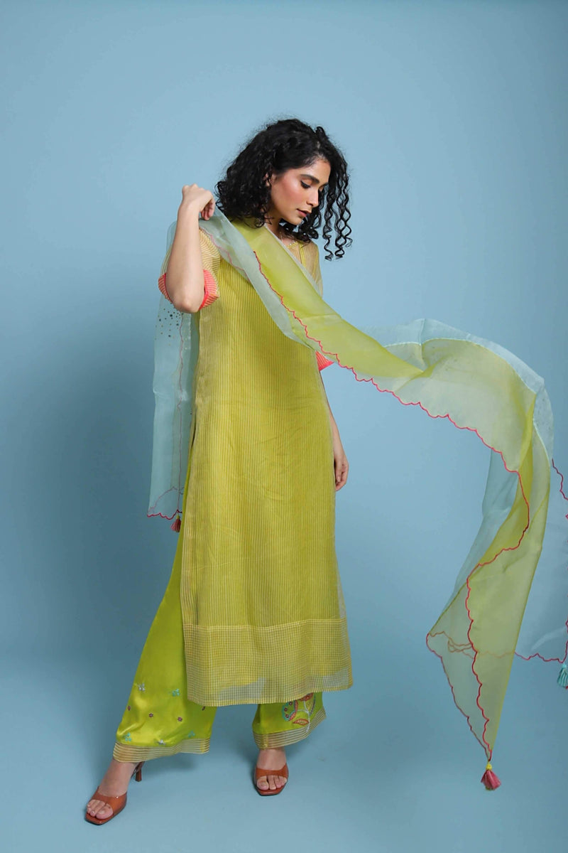 Life in Pink Organza Kurta set Co-ord Set,Kurta Sets by Rajiramniq for women Worldwide