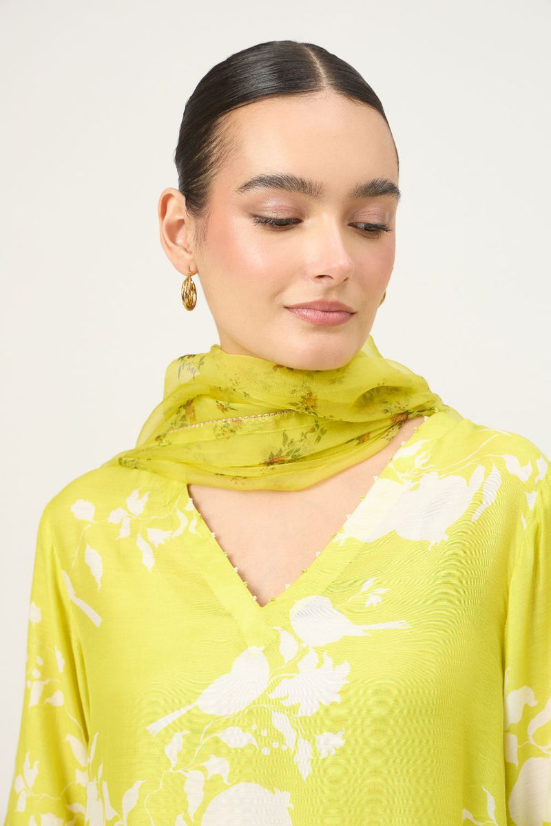 Bloome Lime Kurta Set And Chintz Organza Dupatta