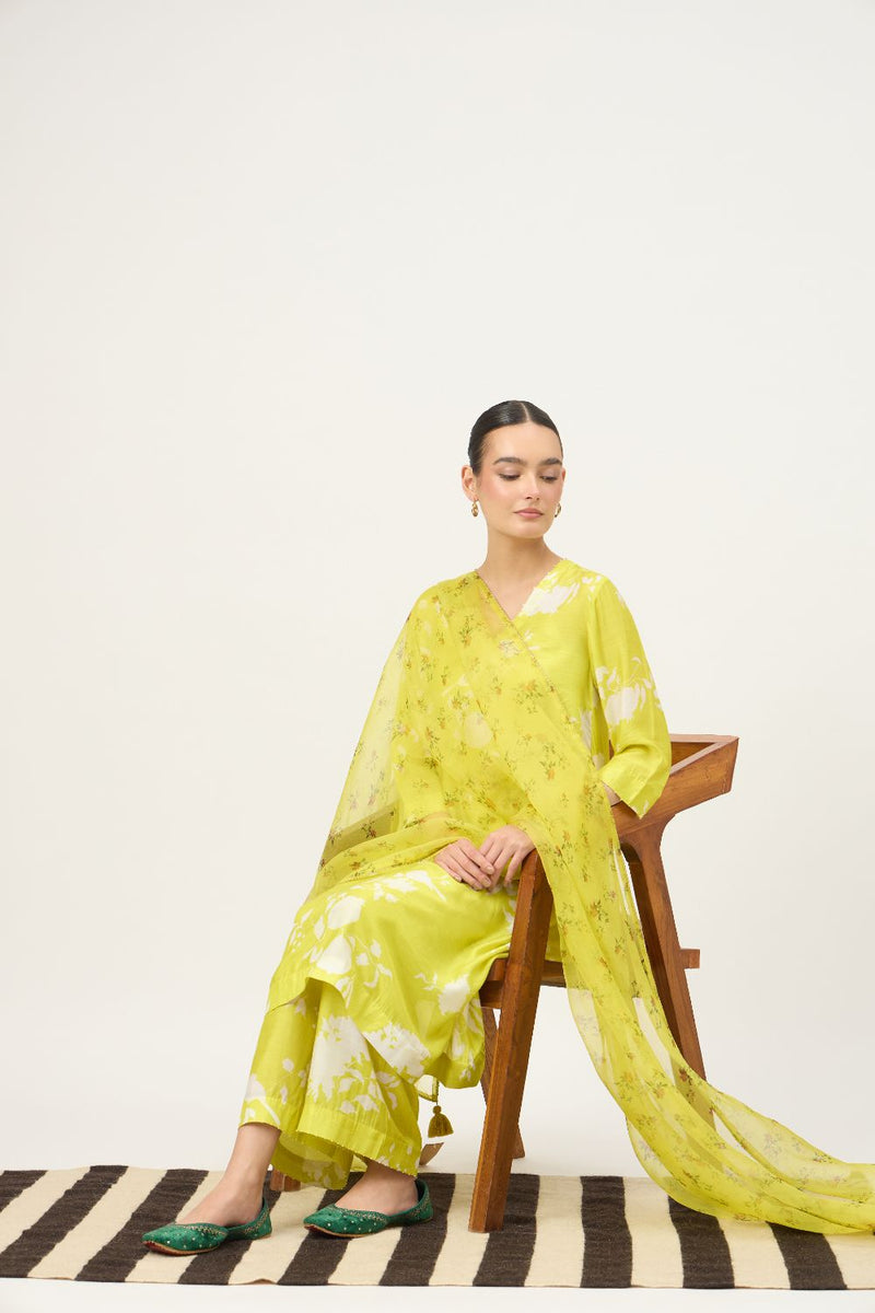 Bloome Lime Kurta Set And Chintz Organza Dupatta