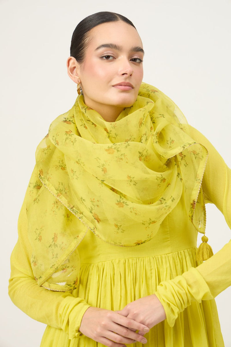 Ghoomar Anarkali Pant and Kurta Set